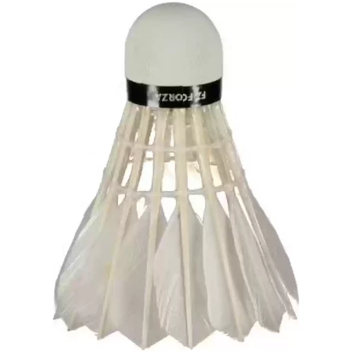 Forza S-5000  78 - Image 2